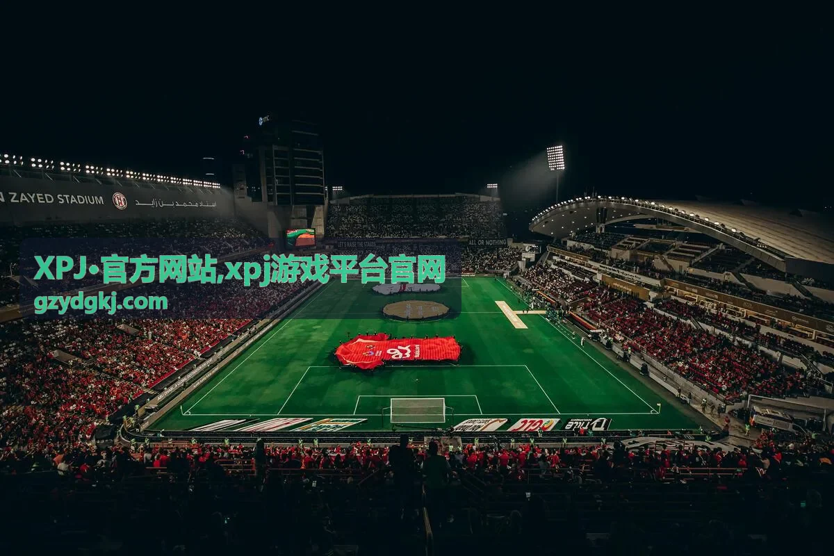 XPJ·官方网站平台说明封面图