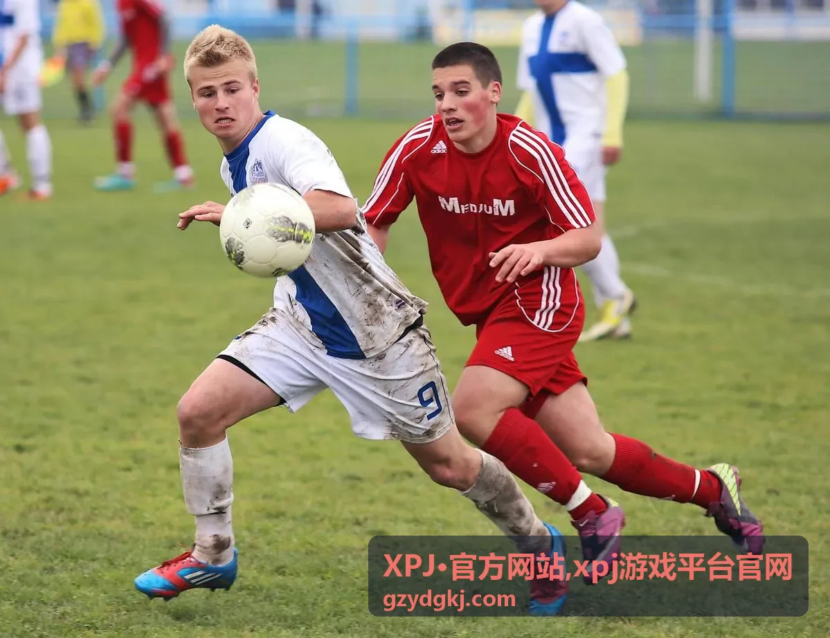 XPJ·官方网站官方访问指引专题封面